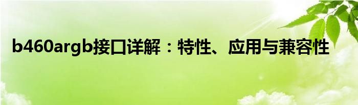 b460argb接口详解：特性、应用与兼容性