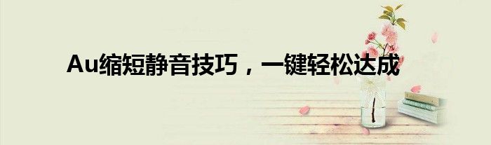 Au缩短静音技巧，一键轻松达成