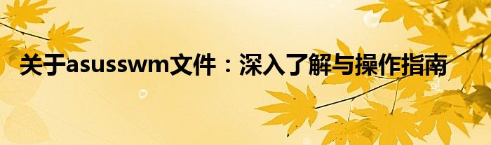 关于asusswm文件：深入了解与操作指南