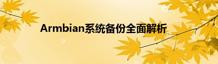 Armbian系统备份全面解析