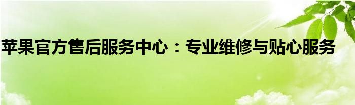 苹果官方售后服务中心：专业维修与贴心服务