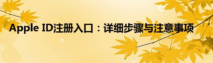Apple ID注册入口：详细步骤与注意事项