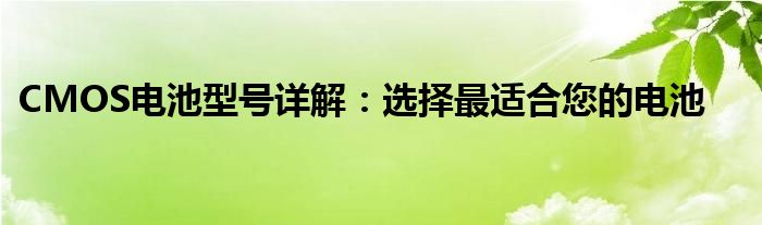 CMOS电池型号详解：选择最适合您的电池