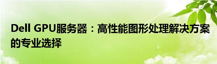 Dell GPU服务器：高性能图形处理解决方案的专业选择