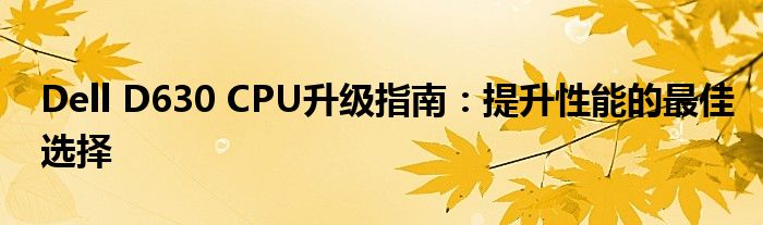 Dell D630 CPU升级指南：提升性能的最佳选择