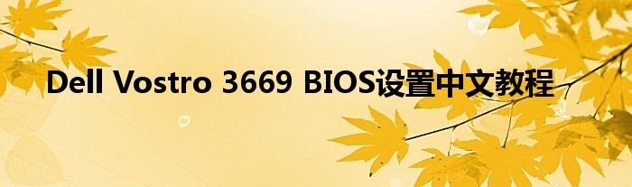 Dell Vostro 3669 BIOS设置中文教程