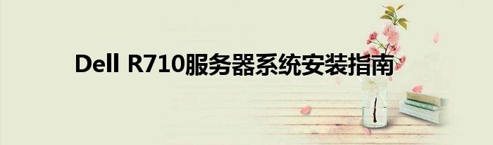 Dell R710服务器系统安装指南