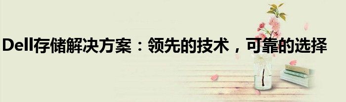 Dell存储解决方案：领先的技术，可靠的选择