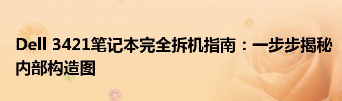 Dell 3421笔记本完全拆机指南：一步步揭秘内部构造图