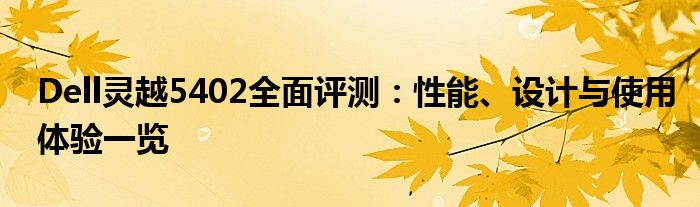 Dell灵越5402全面评测：性能、设计与使用体验一览