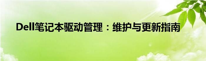 Dell笔记本驱动管理：维护与更新指南