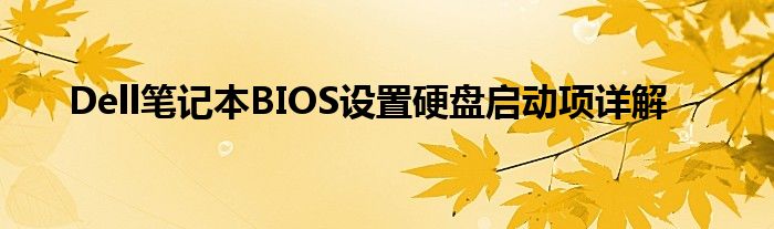 Dell笔记本BIOS设置硬盘启动项详解