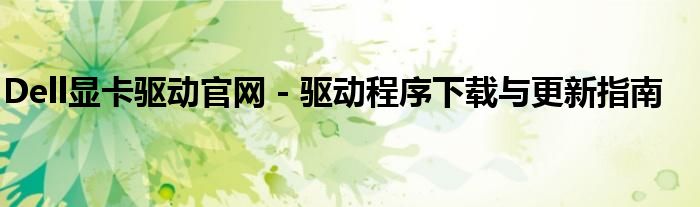 Dell显卡驱动官网 - 驱动程序下载与更新指南