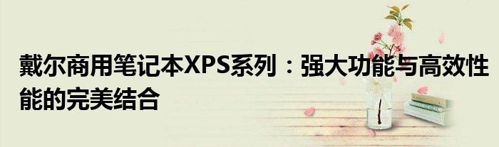 戴尔商用笔记本XPS系列：强大功能与高效性能的完美结合