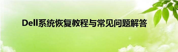 Dell系统恢复教程与常见问题解答