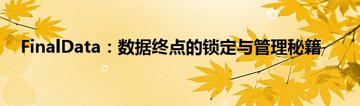 FinalData：数据终点的锁定与管理秘籍