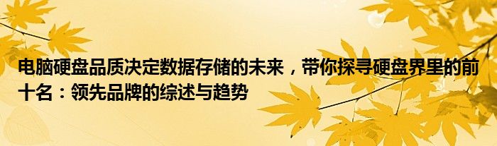 电脑硬盘品质决定数据存储的未来，带你探寻硬盘界里的前十名：领先品牌的综述与趋势