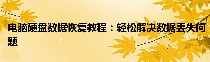 电脑硬盘数据恢复教程：轻松解决数据丢失问题