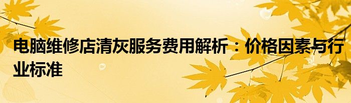 电脑维修店清灰服务费用解析：价格因素与行业标准