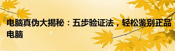 电脑真伪大揭秘：五步验证法，轻松鉴别正品电脑