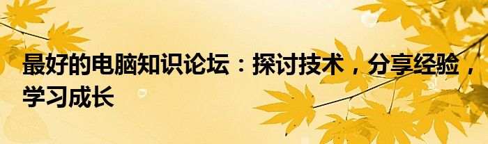 最好的电脑知识论坛：探讨技术，分享经验，学习成长