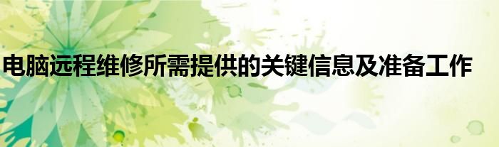 电脑远程维修所需提供的关键信息及准备工作