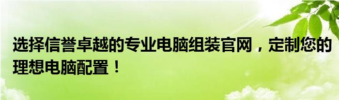 选择信誉卓越的专业电脑组装官网，定制您的理想电脑配置！
