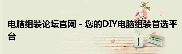 电脑组装论坛官网 - 您的DIY电脑组装首选平台