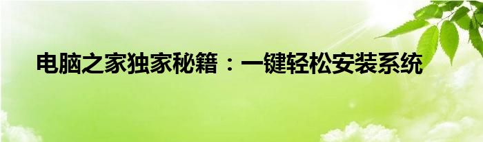 电脑之家独家秘籍：一键轻松安装系统