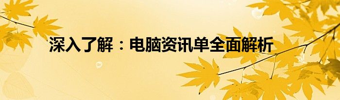 深入了解：电脑资讯单全面解析