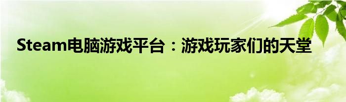 Steam电脑游戏平台：游戏玩家们的天堂