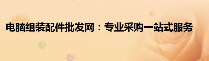 电脑组装配件批发网：专业采购一站式服务