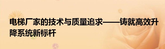 电梯厂家的技术与质量追求——铸就高效升降系统新标杆