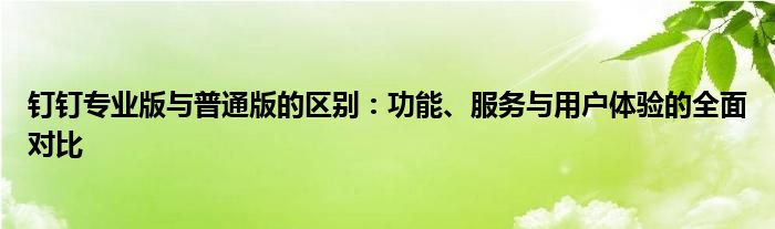 钉钉专业版与普通版的区别：功能、服务与用户体验的全面对比
