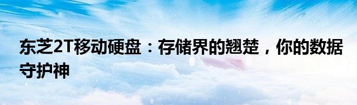 东芝2T移动硬盘：存储界的翘楚，你的数据守护神