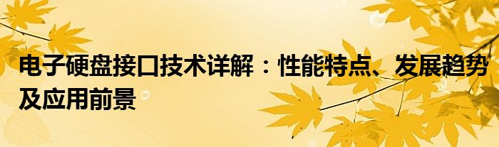 电子硬盘接口技术详解：性能特点、发展趋势及应用前景