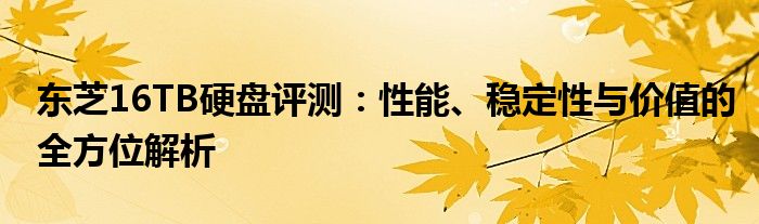 东芝16TB硬盘评测：性能、稳定性与价值的全方位解析