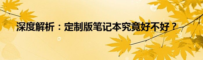 深度解析：定制版笔记本究竟好不好？