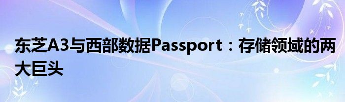 东芝A3与西部数据Passport：存储领域的两大巨头
