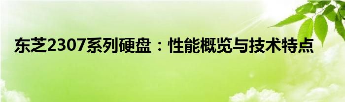 东芝2307系列硬盘：性能概览与技术特点