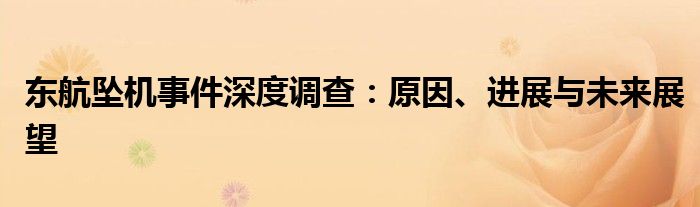 东航坠机事件深度调查：原因、进展与未来展望