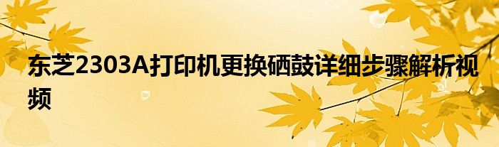 东芝2303A打印机更换硒鼓详细步骤解析视频