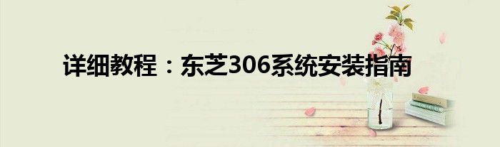 详细教程：东芝306系统安装指南