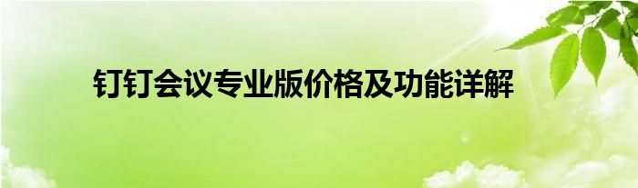 钉钉会议专业版价格及功能详解
