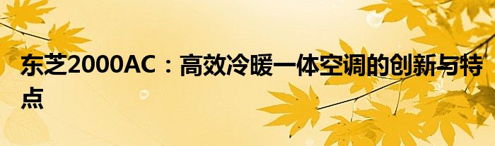 东芝2000AC：高效冷暖一体空调的创新与特点