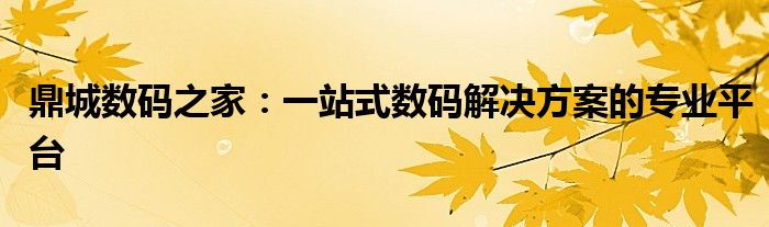 鼎城数码之家：一站式数码解决方案的专业平台