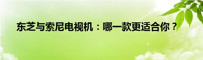 东芝与索尼电视机：哪一款更适合你？