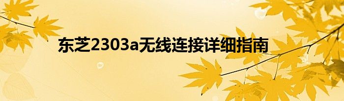 东芝2303a无线连接详细指南
