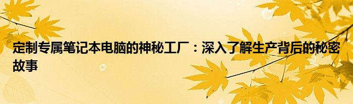 定制专属笔记本电脑的神秘工厂：深入了解生产背后的秘密故事