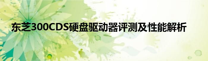 东芝300CDS硬盘驱动器评测及性能解析